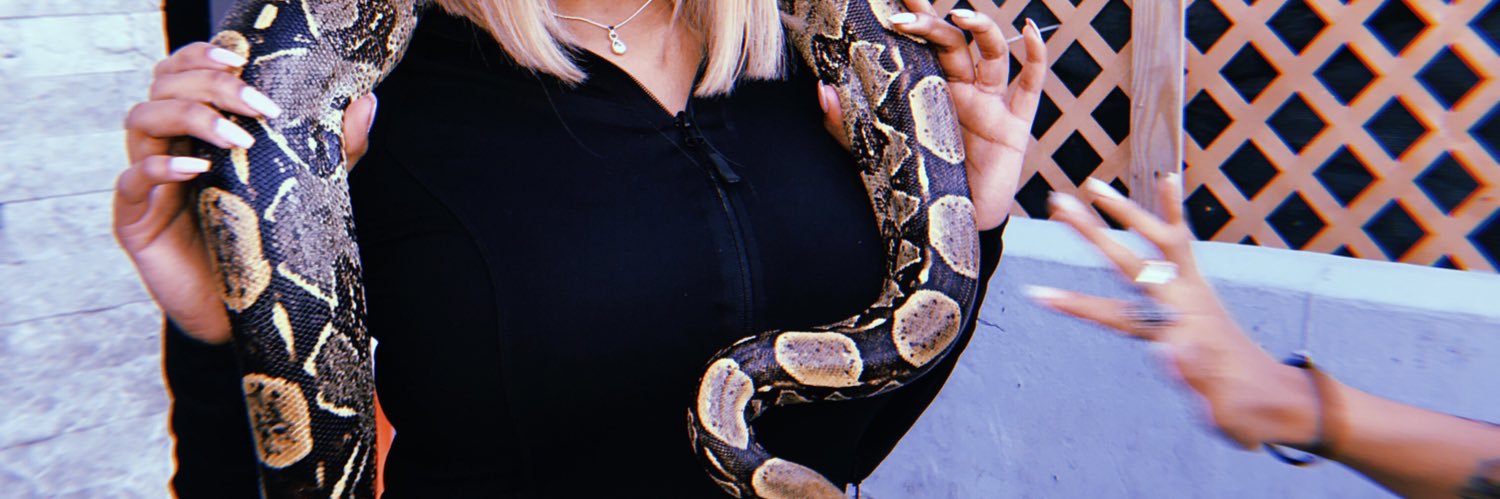 raynamonae's profile banner image