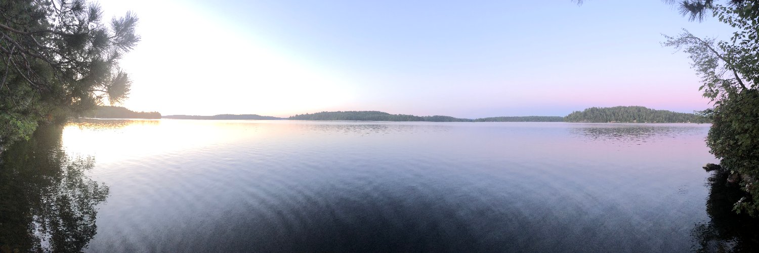 THINK 🇨🇦 banner