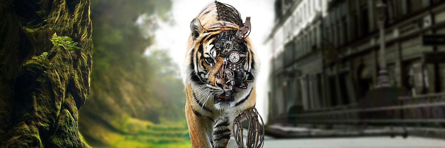 syamsulkmal's profile banner image
