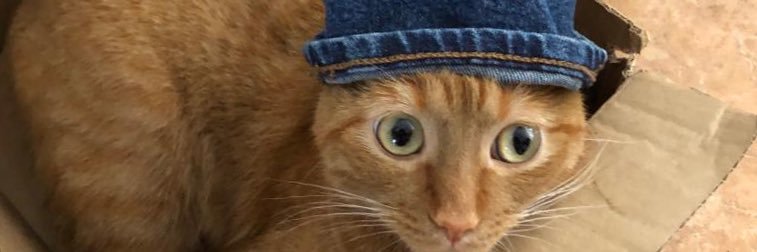 CabreraJooe's profile banner image