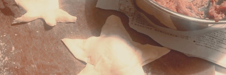 探's banner