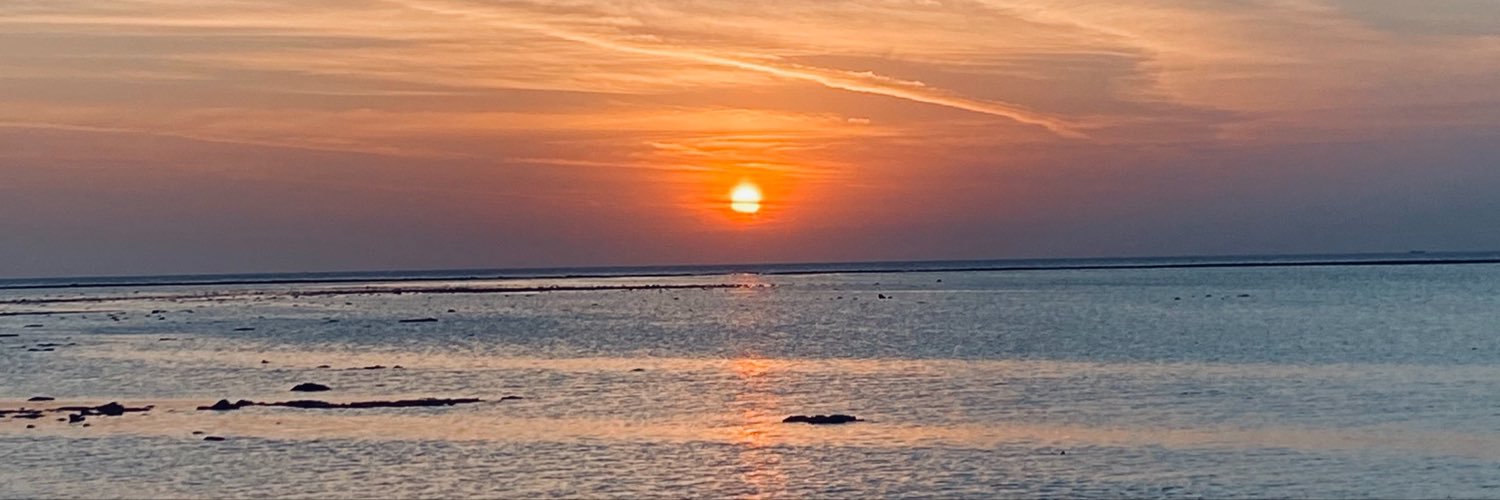 lyremipsum's profile banner image