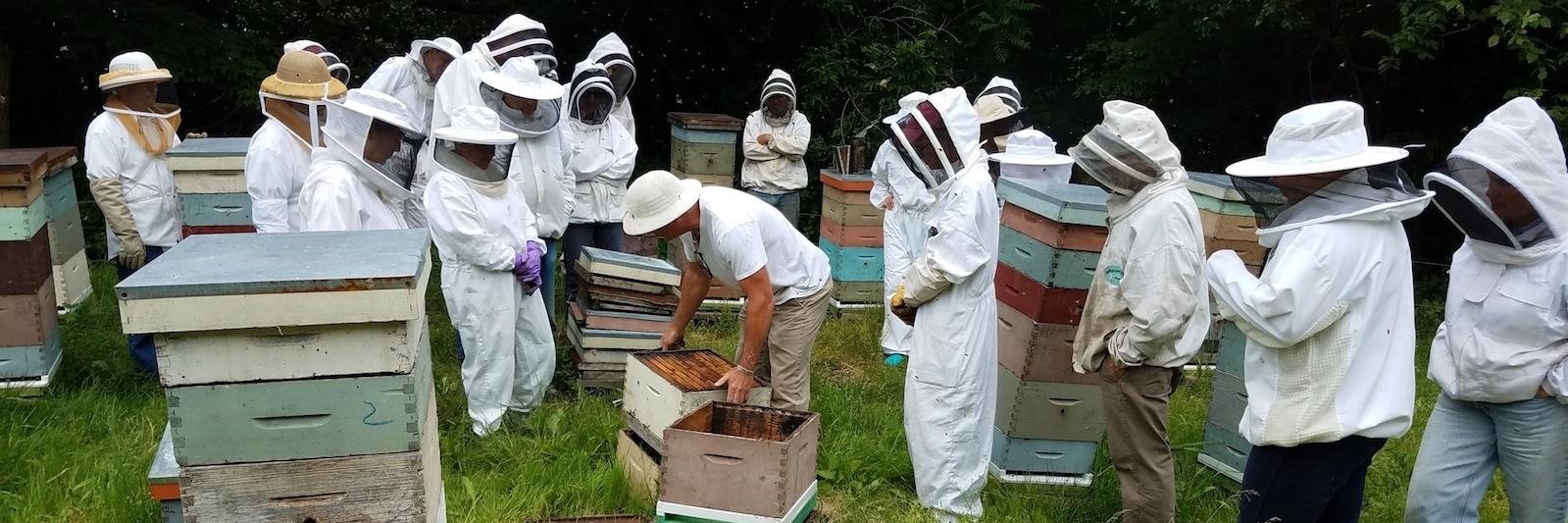 VTBeekeepers's profile banner image
