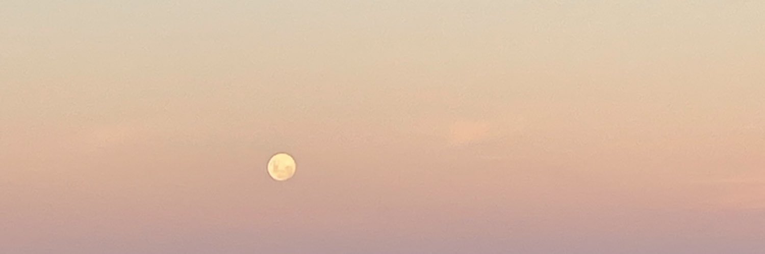 delfii_dandlen's profile banner image