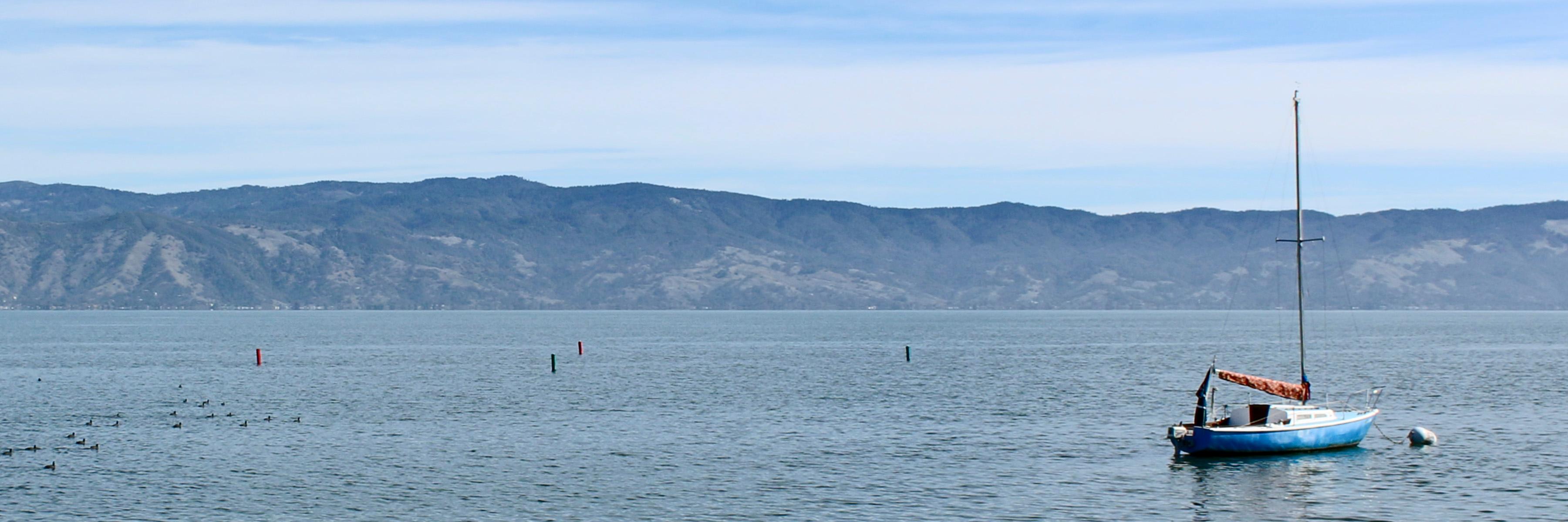 CaliforniaFish's profile banner image