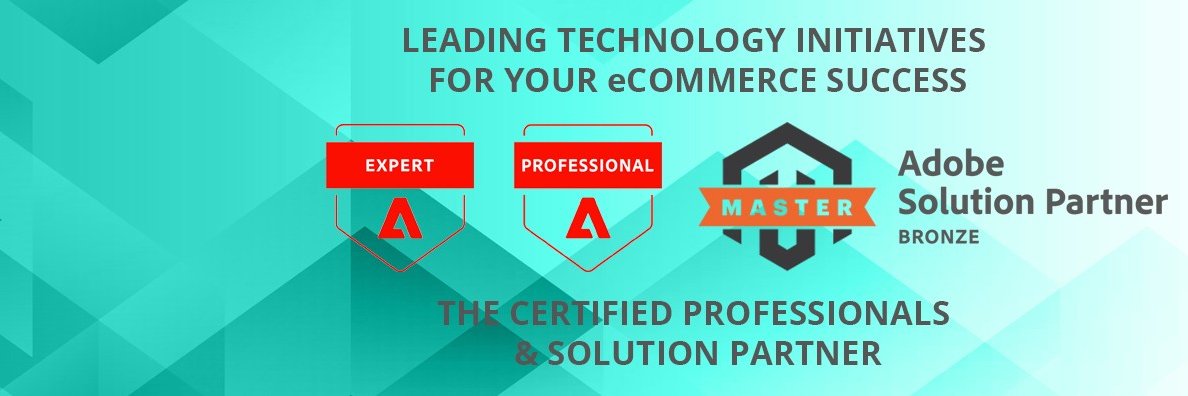 Evrig Solutions banner