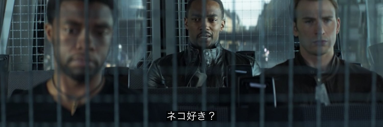 めっちゃ猫好き banner