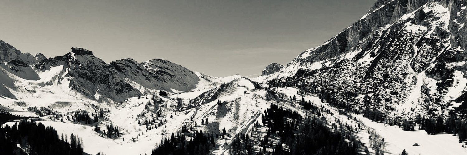 RinsDiss's profile banner image