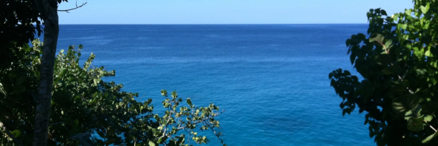 Dr. Nicole L. Bootier banner