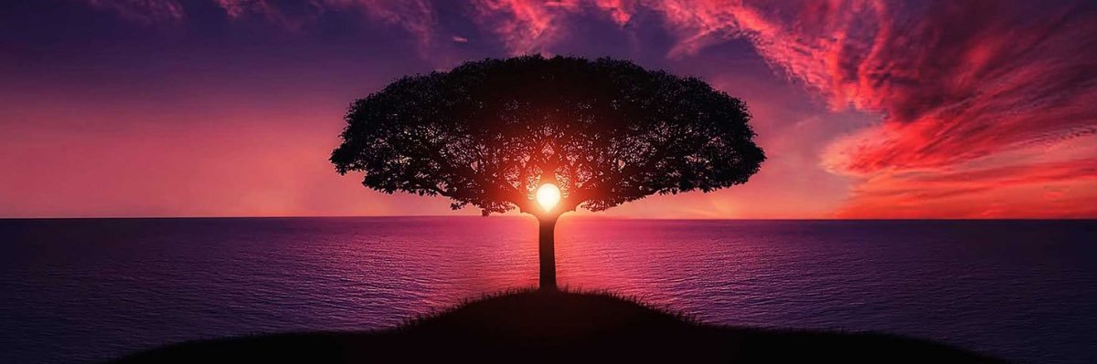 jfeatherston36's profile banner image