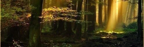 FFCPastorPaul's profile banner image