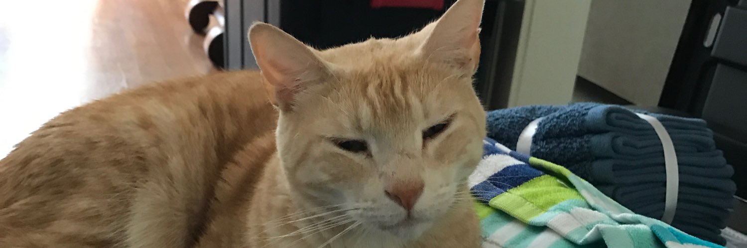 FreyEdward's profile banner image