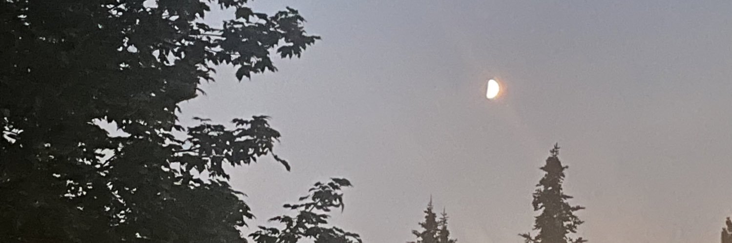 rsannarey's profile banner image