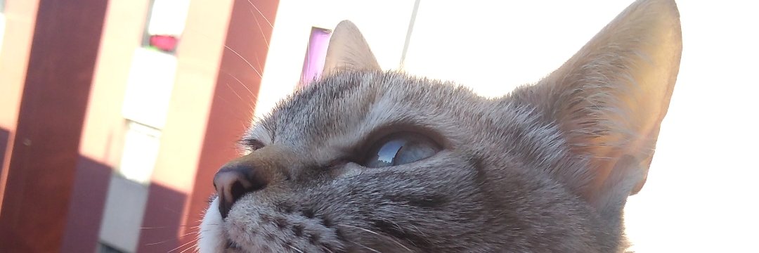DieneferSouza's profile banner image