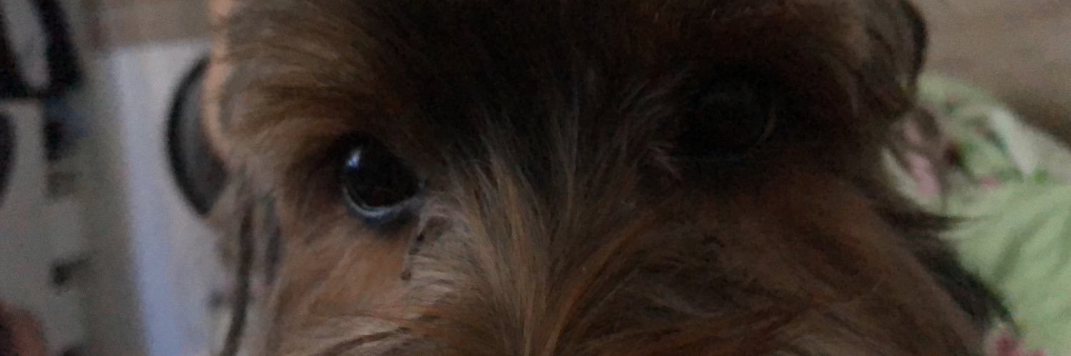 linnegama's profile banner image