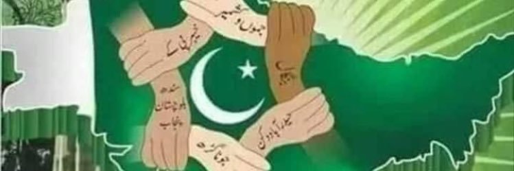 SyEd Ali Hasnat Bukhari banner