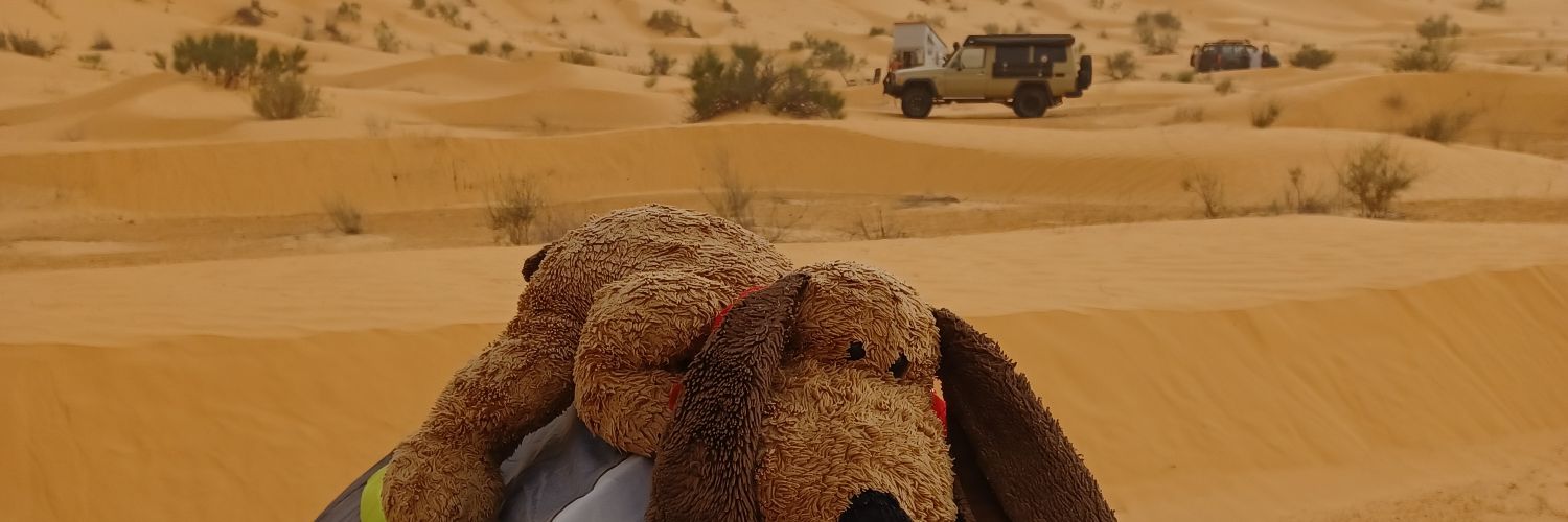 Fee 🌍 Reisende, die hinter die Kulissen schaut banner