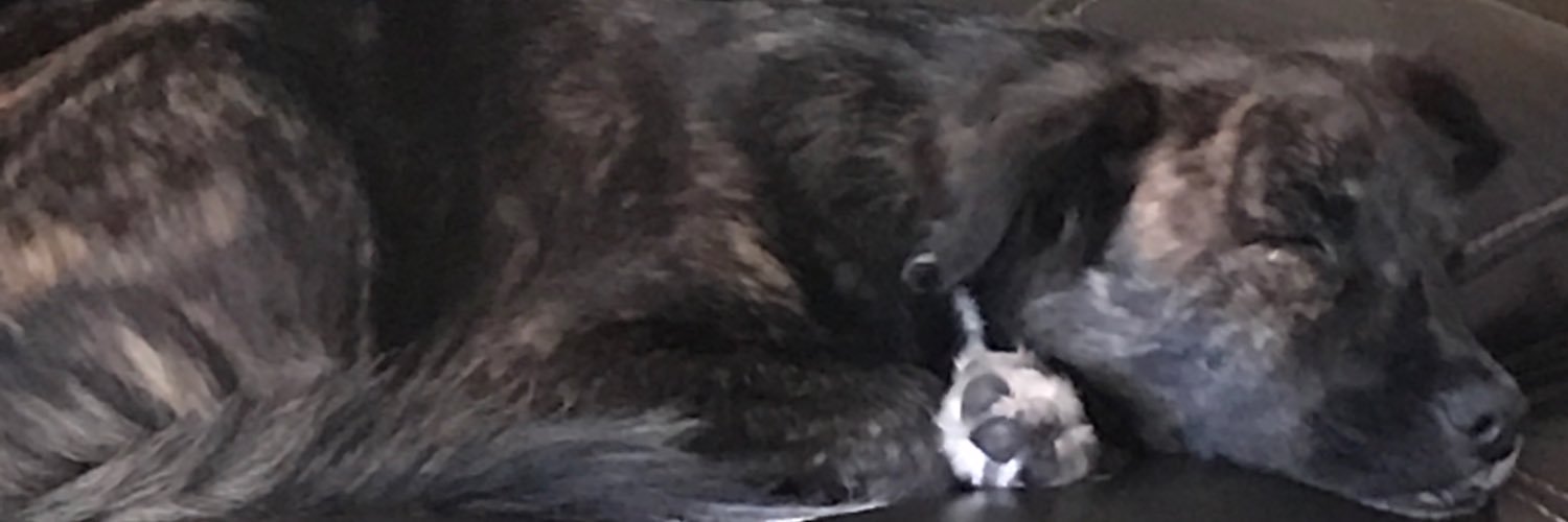 gabe_dp's profile banner image