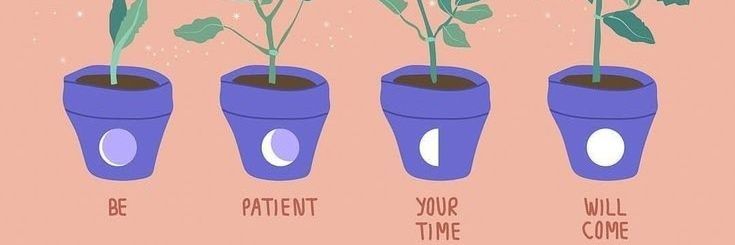 VersGay🏳️‍🌈 banner