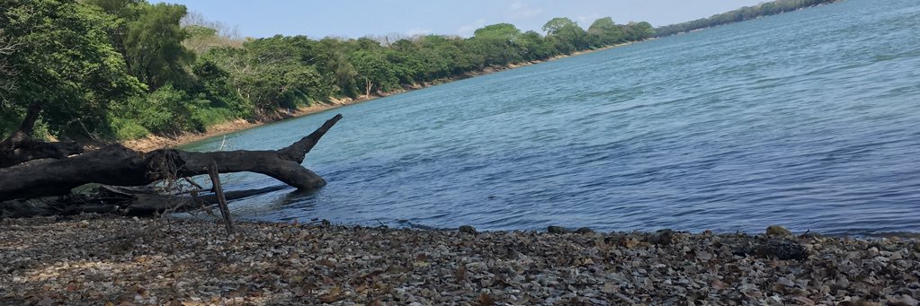 Estefanny Alvarez banner