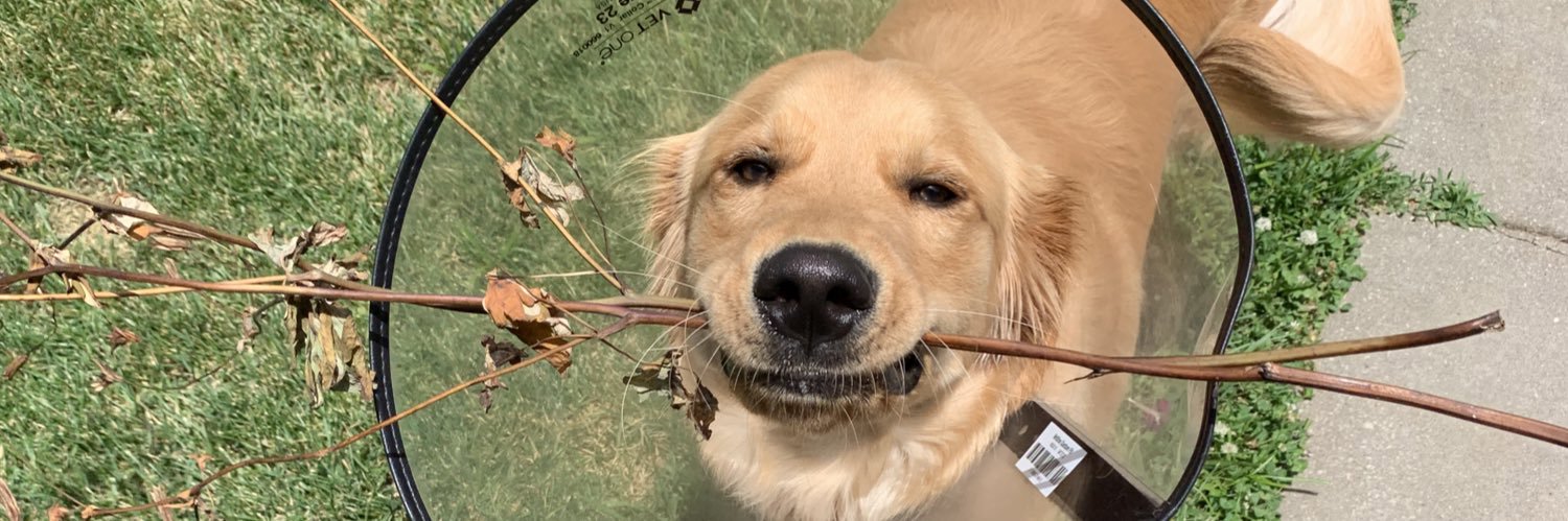 kayschmid's profile banner image