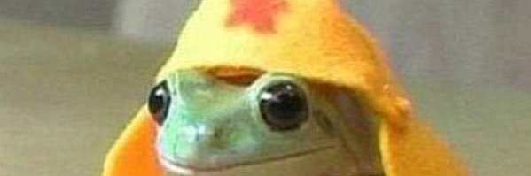 Bee_TheTweeter's profile banner image