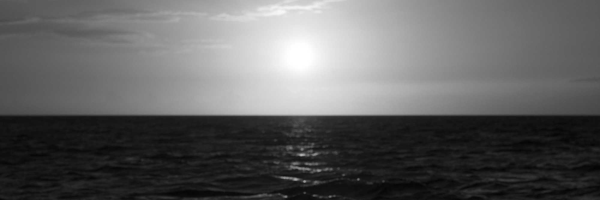 raisabonnet's profile banner image