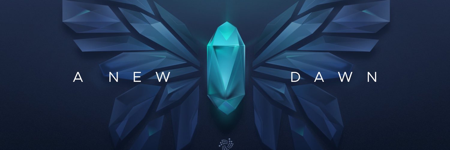 treyday.iota 🐙 banner