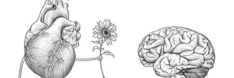letmartellit's profile banner image