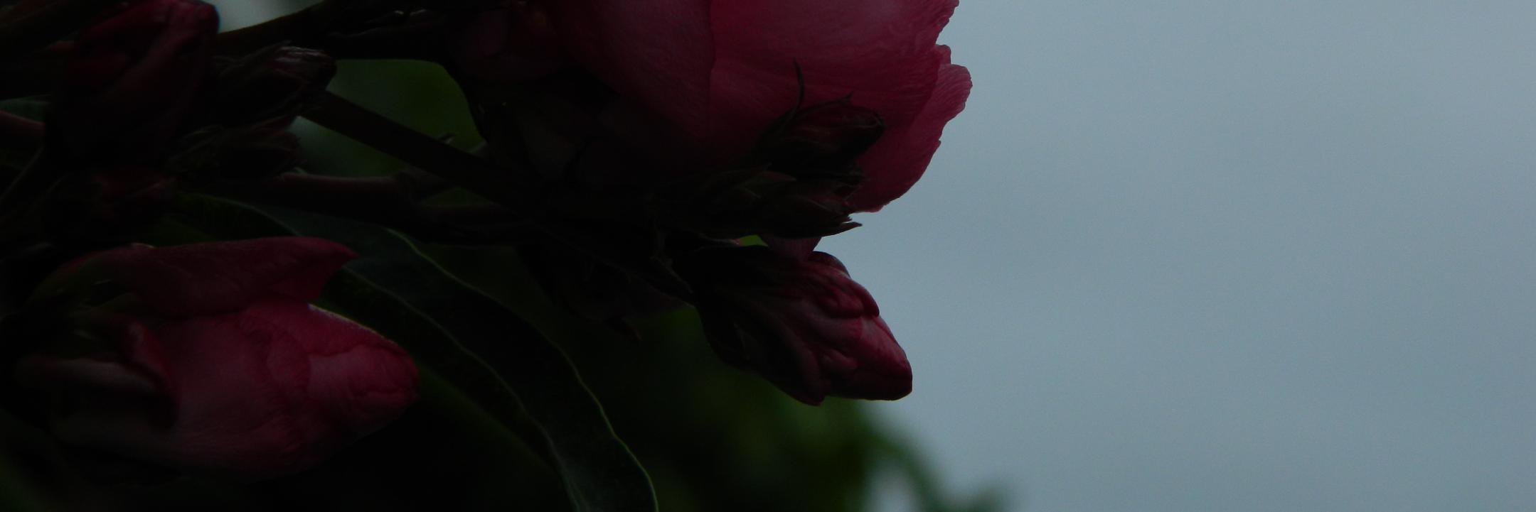 GabriMoMo93's profile banner image
