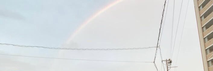 Renee10022's profile banner image