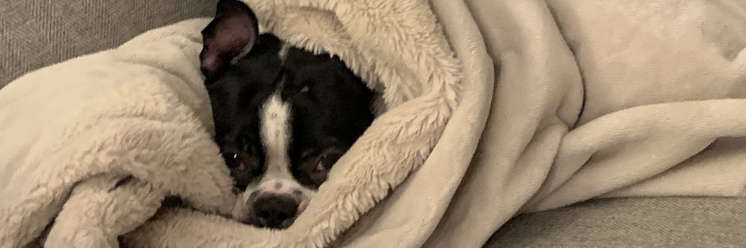 Alex Marrone, MD banner