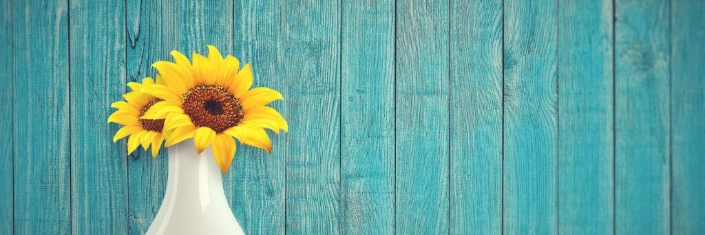 A Common Good For All banner