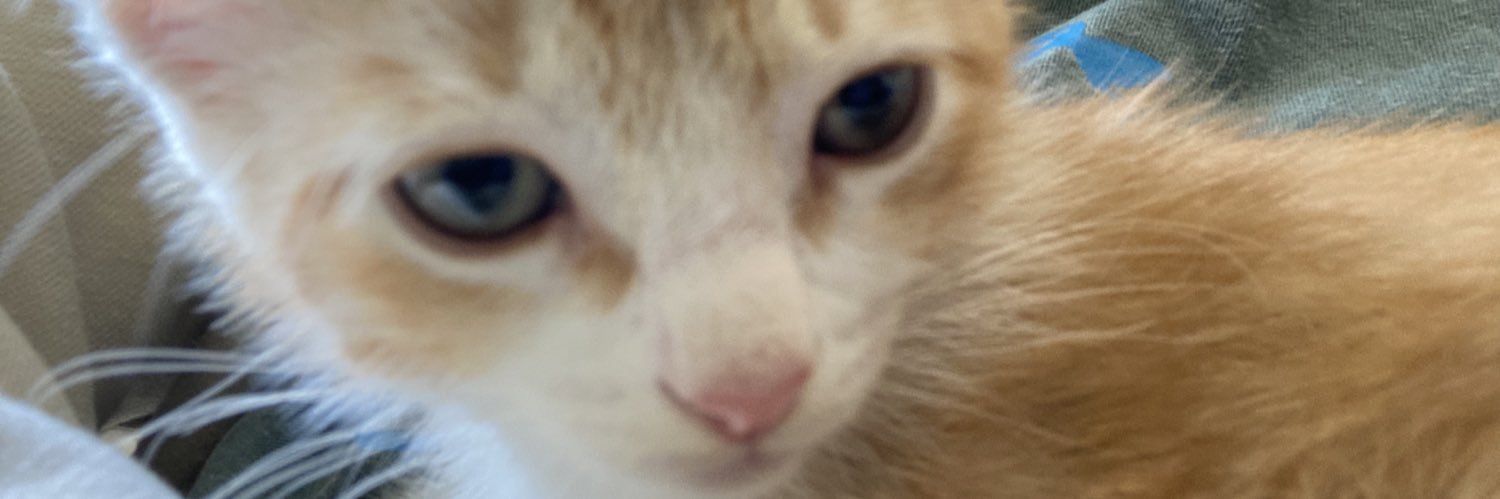 ezra 🐺 ⏳ banner