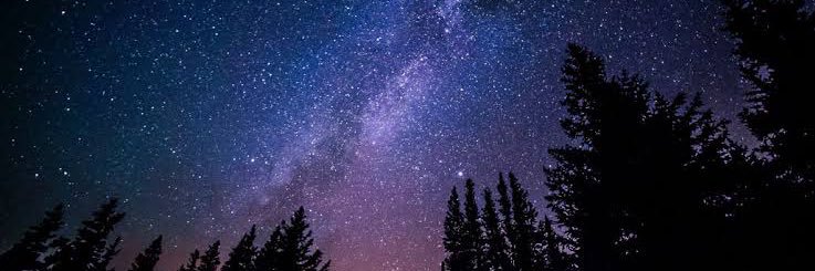 kimlyndeeell's profile banner image