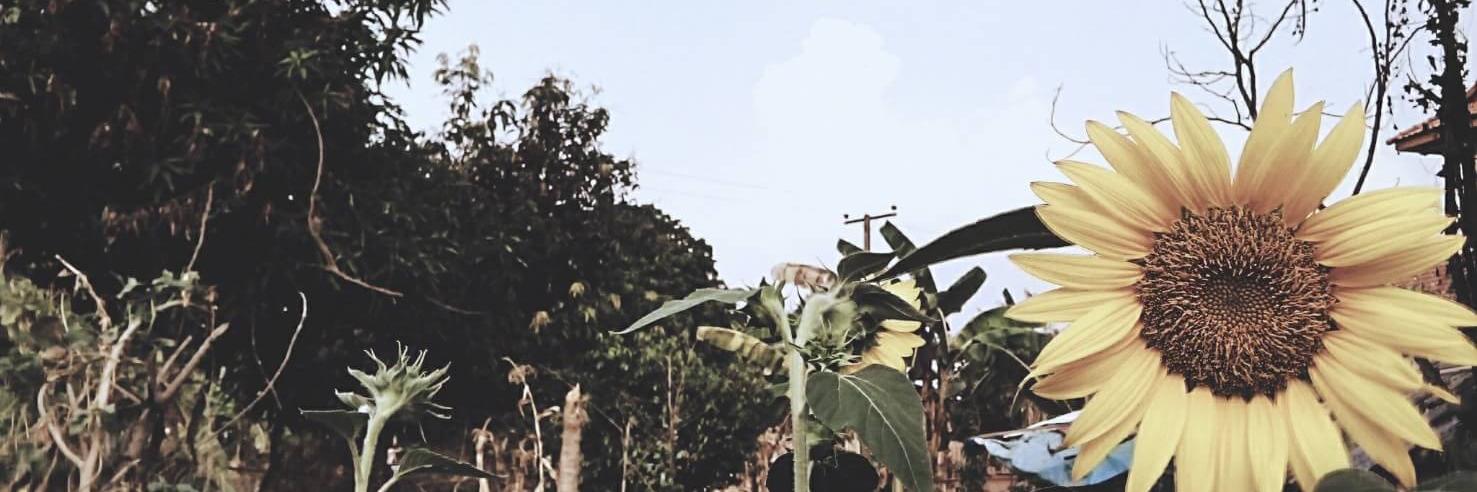 snymvb's profile banner image