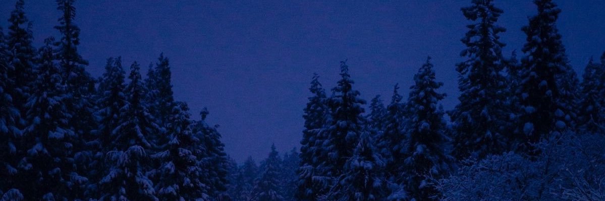 𝑒 🫧 banner