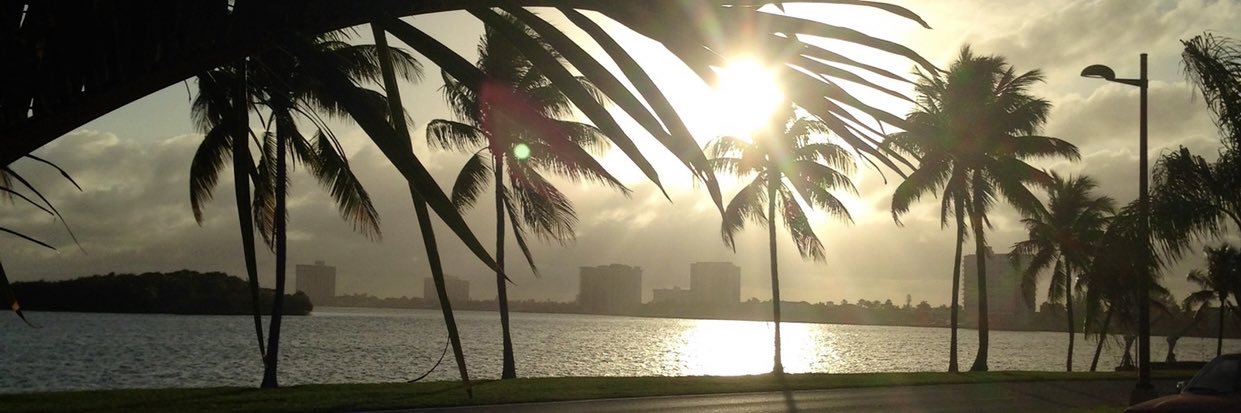 Dana Justice AMERICA FIRST🇺🇸 banner