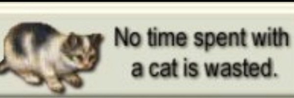 meowved Profile Banner
