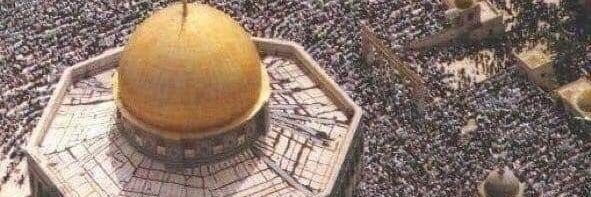 Tasnim_2000's profile banner image