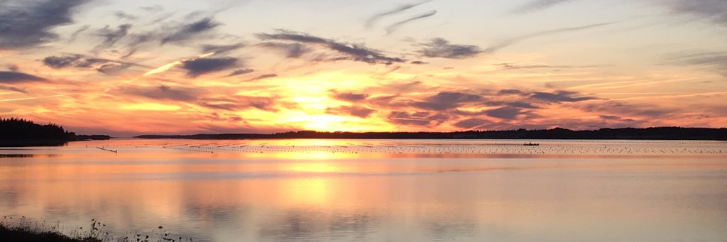 mjwcalgary's profile banner image