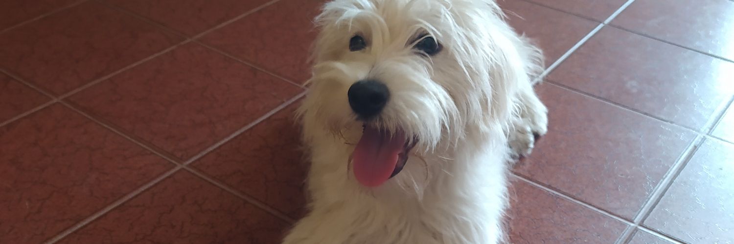 ahrefantasma's profile banner image