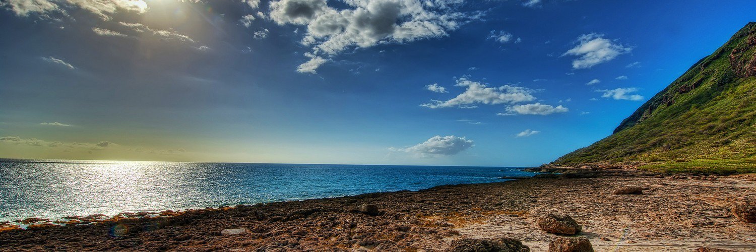 a_baronchelli's profile banner image