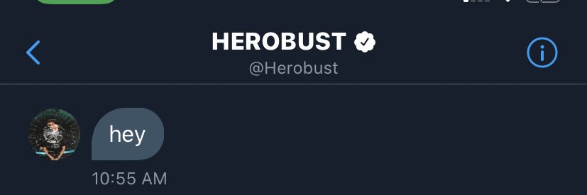 lillbust's profile banner image