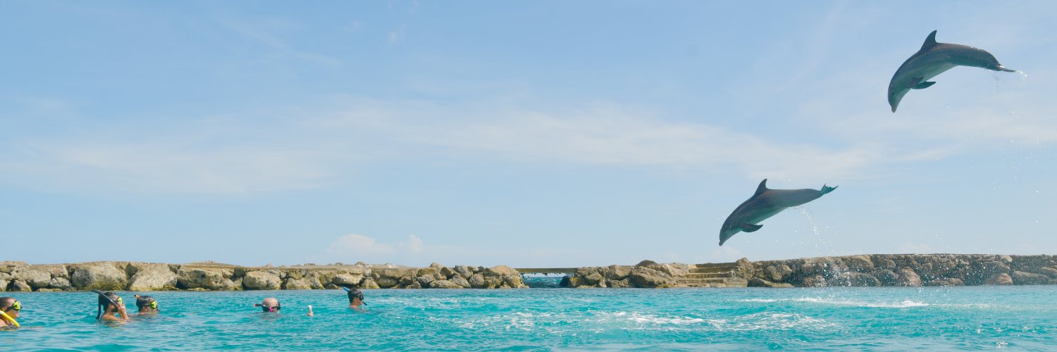 Clint banner