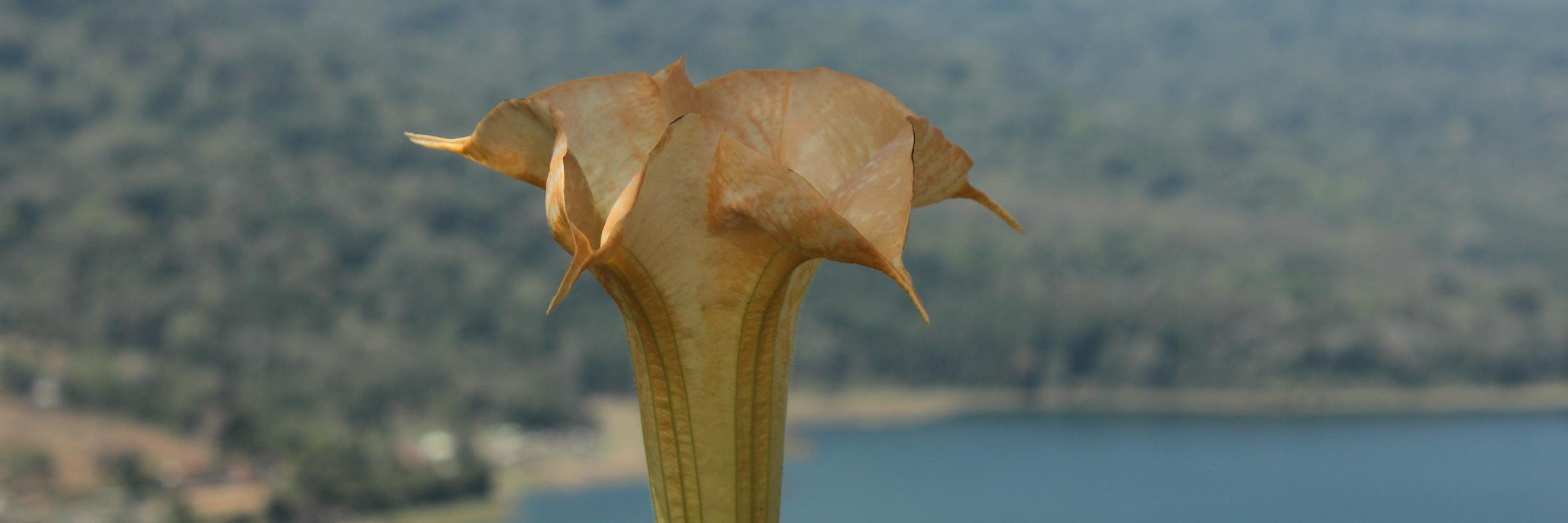 Mr_kodank's profile banner image