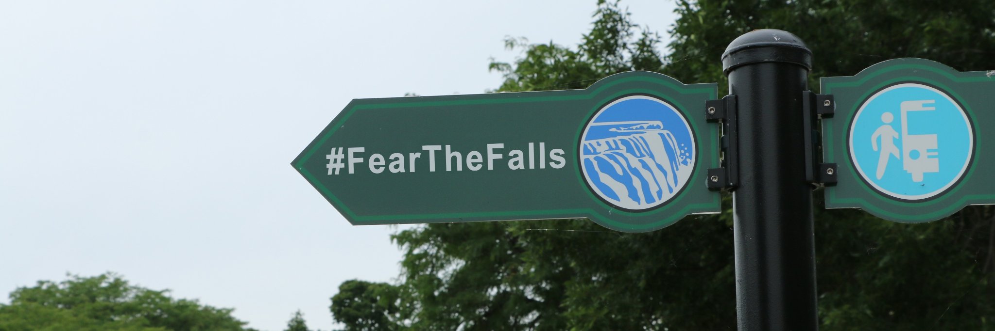 Niagara Men's Soccer banner