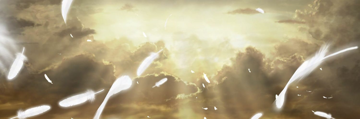 hakumen17's profile banner image
