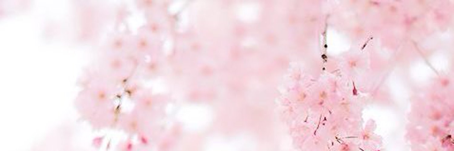 ver 2 in bio banner