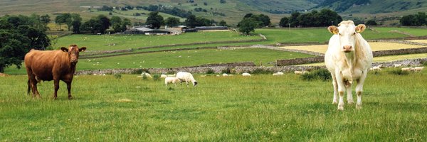 AHDB_BeefLamb Profile Banner